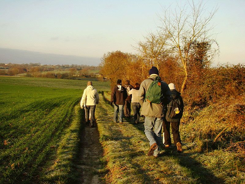 Un groupe de randonneurs sur un chemin creux, dans la lumière du matin.
